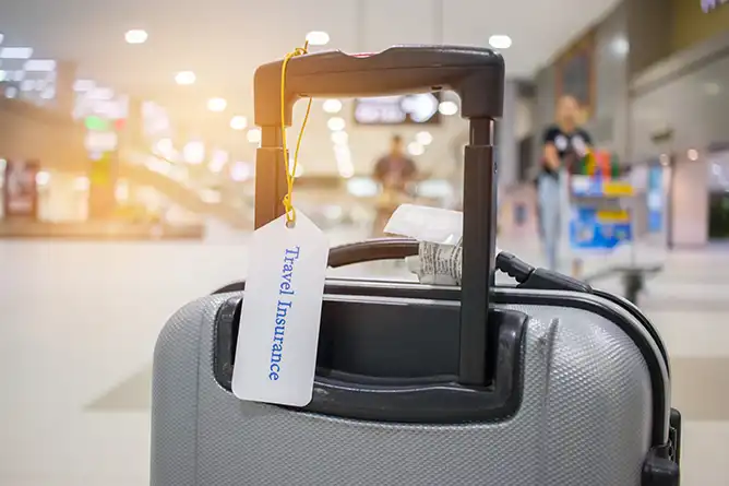 ANAアメックスカード,旅行保険