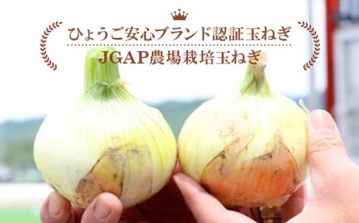 ふるさと納税,返礼品,おすすめ,兵庫県南あわじ市|【東中青果】淡路島産玉葱 追熟甘玉ねぎ 3kg
