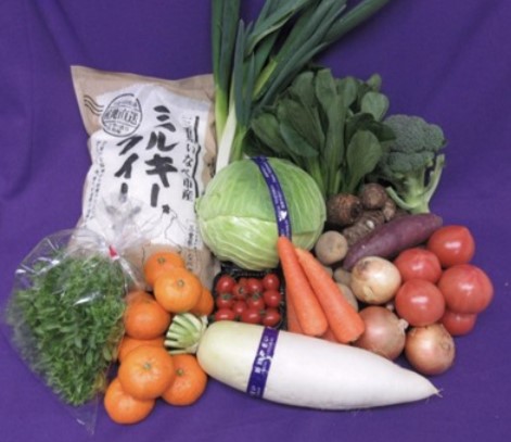 ふるさと納税,返礼品,おすすめ,三重県いなべ市｜農産物直売所[ふれあいの駅うりぼう]お米・旬の新鮮野菜・果物