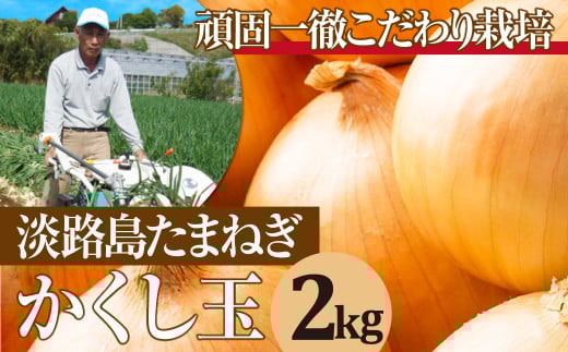 ふるさと納税,返礼品,おすすめ,兵庫県淡路市|今井ファームの淡路島たまねぎ「かくし玉」 2kg