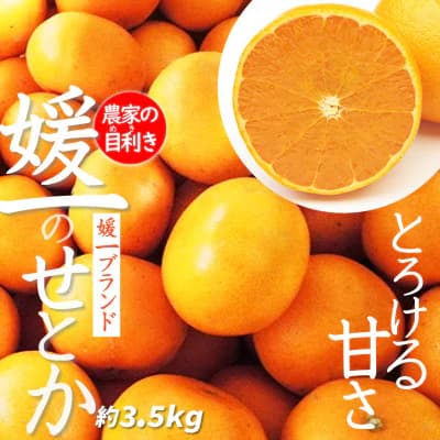 ふるさと納税,返礼品,おすすめ,愛媛県八幡浜市|愛媛の高級柑橘の代名詞!「せとか」約3.5kg入【C28-18】