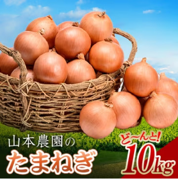 ふるさと納税,返礼品,おすすめ,北海道南幌町|北海道産 南幌町産 山本農園のたまねぎ L大サイズ前後 10kg 玉ねぎ タマネギ 玉葱