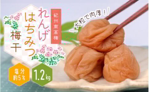 ふるさと納税,返礼品,おすすめ,和歌山県すさみ町|紀州南高梅 大粒 れんげはちみつ梅干1.2㎏塩分約5%
