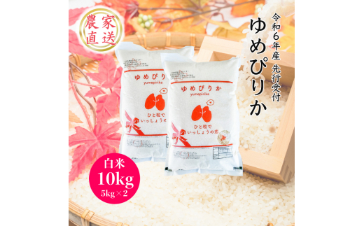 ふるさと納税,返礼品,おすすめ,北海道芦別市|【R6年産先行受付】 ゆめぴりか 10kg (5kg×2袋) 農家直送 芦別RICE